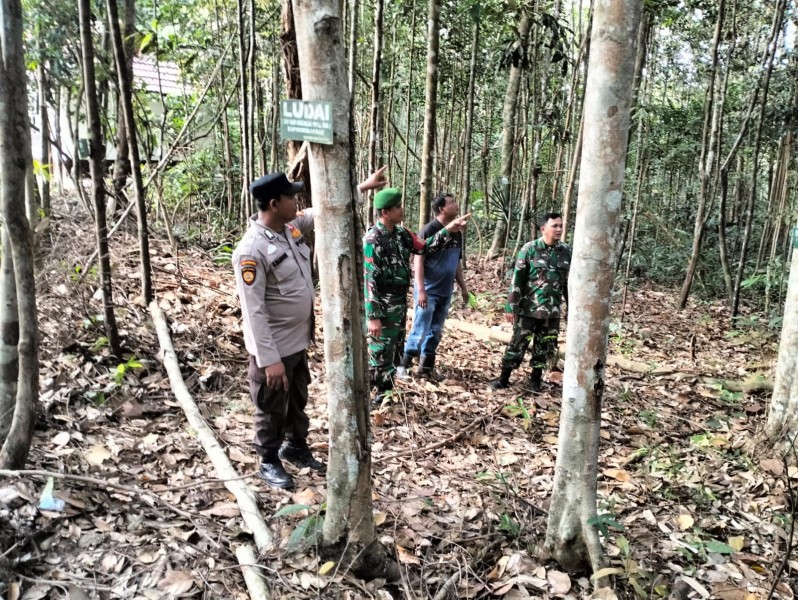 Babinsa Serda Haris Sandya Pratama Patroli Karhutla di Muara Kelantan - Sungai Mandau