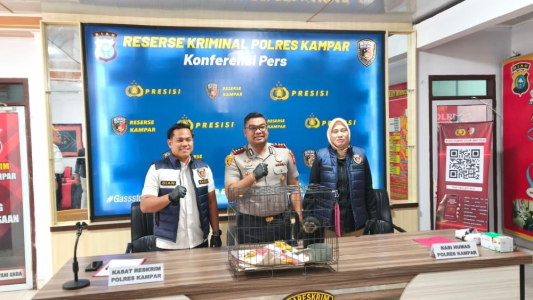 Transaksi Ilegal Owa Ungko Senilai Rp 8 Juta Digagalkan Polisi di Kampar