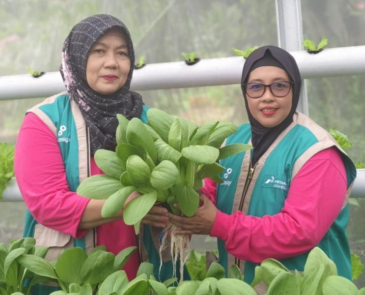 Kisah Perempuan Tangguh Penjaga Iklim di Air Jamban: Saat Lahan Gersang Berubah Menjadi Ladang Cuan