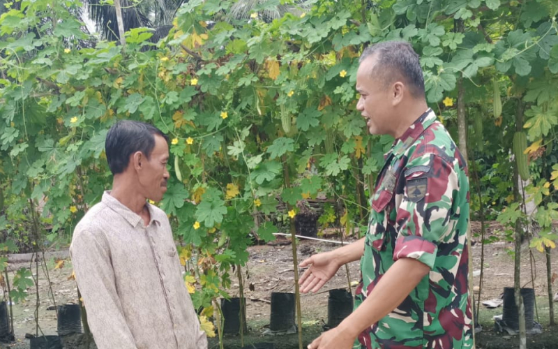 Babinsa Koramil 03 Sungai Sembilan Lakukan Pendampingan Karya Nyata Tanaman Pare