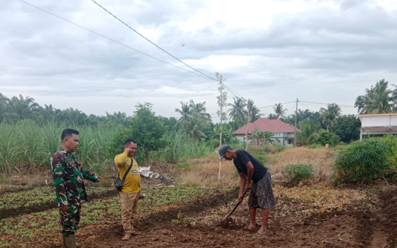 Babinsa Sertu Mahyudin Intensifkan Patroli Karhutla dan Dampingi Warga Kelola Lahan Tanpa Bakar