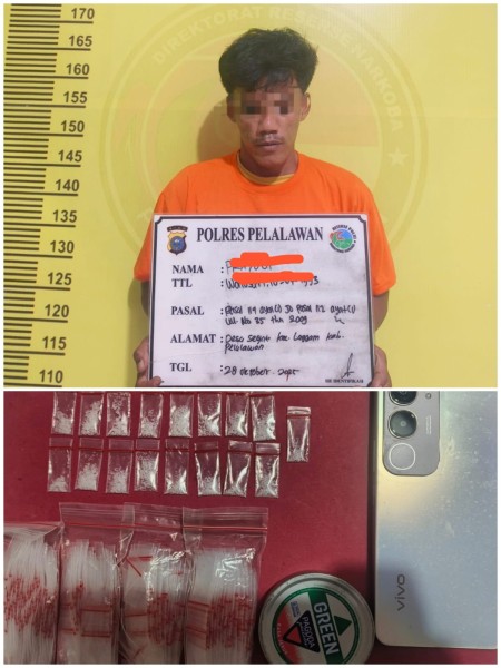 Polres Pelalawan Ringkus Pengedar Sabu di Desa Segati, 17 Paket Barang Bukti Diamankan