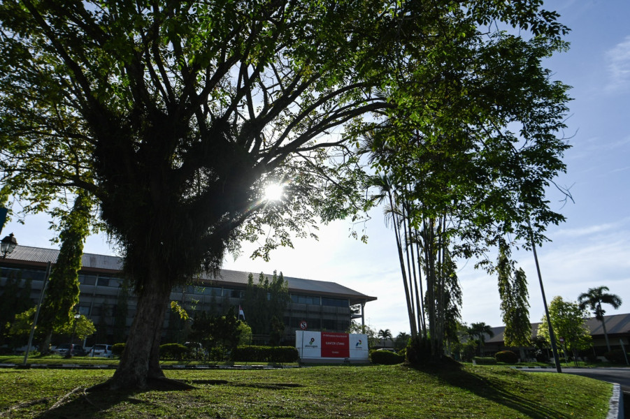 Asrinya Hutan Rumbai PHR, Menjadi Simbol Warisan Alam Yang Harmoni