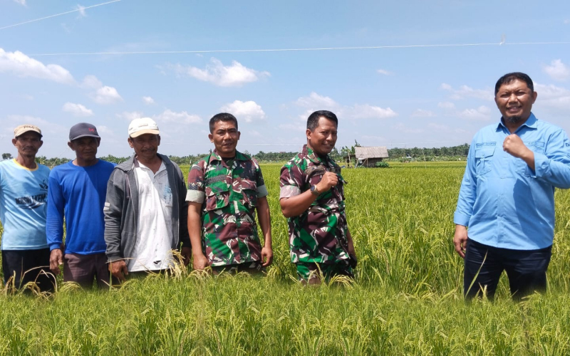 Kodim 0320 Dumai Perkuat Ketahanan Pangan di Kecamatan Sei Sembilan