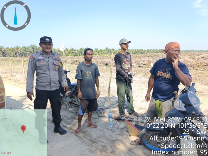 Sinergi Polsek Siak Hulu dan Petani KOPPSA M Cek Perkembangan Tanaman 10 Hektar Jagung Pipil Wujudkan Swasembada Pangan Nasional 2026