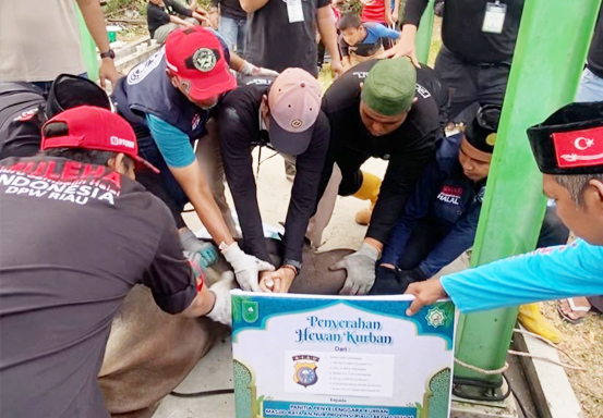 Masjid Raya An-Nur Riau: Kurban 1447 H Jadi Bukti Masjid sebagai Pusat Ibadah dan Pelayanan Umat