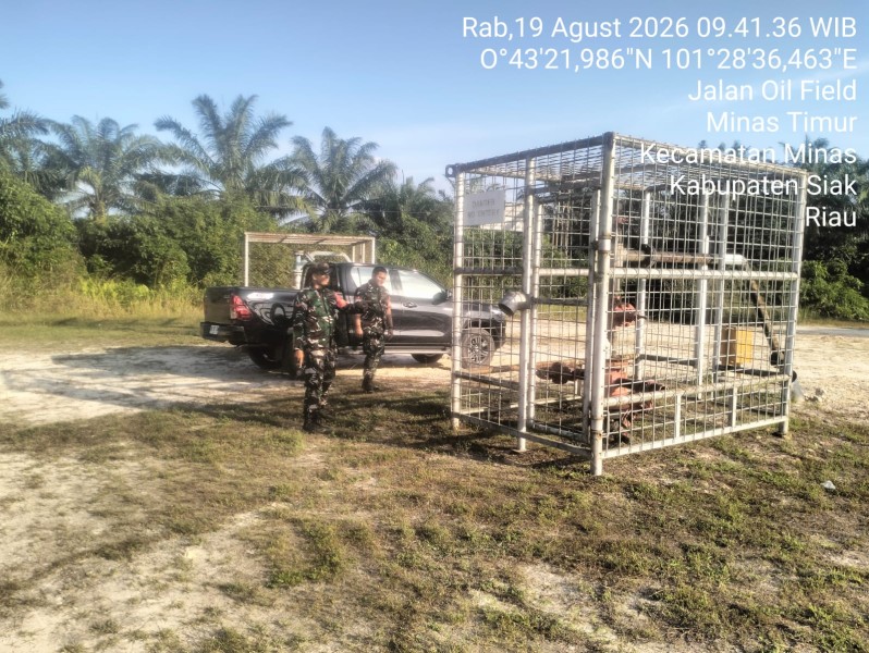 Babinsa Serda Mayus Maruli dan Koptu Salomo Sembiring Intensifkan Patroli Penguatan Binter di Wilayah Minas Field
