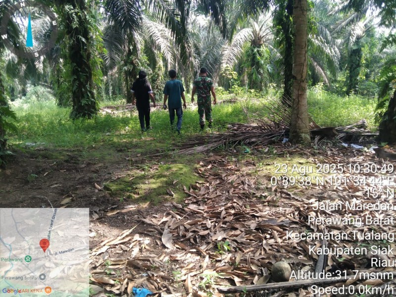 Babinsa Koramil 04/Perawang Rutin Gelar Patroli Cegah Karhutla di Perawang Barat