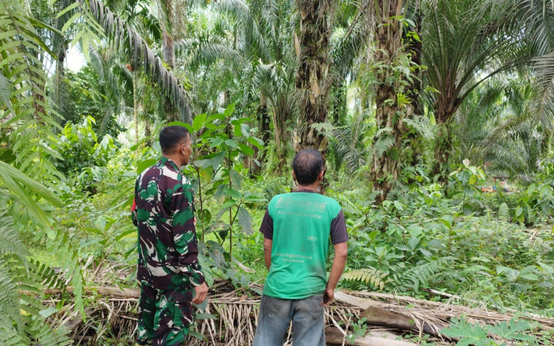 Koramil 03 Patroli Cegah Karhutla, ini Pesan Serda Miftah