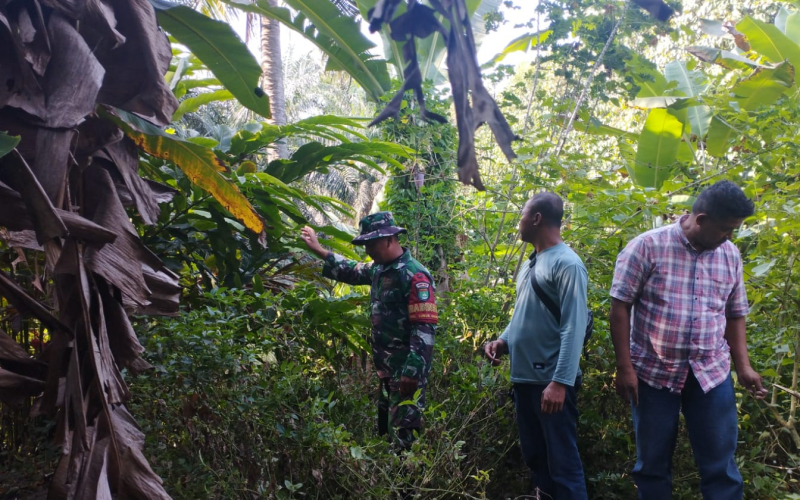 Babinsa Lubuk Gaung Intensifkan Patroli Karhutla, Warga Diimbau Tak Bakar Lahan