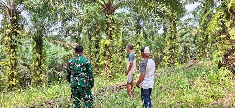Babinsa Serda Wiky Hendri Septa Patroli Karhutla di Teluk Lancang, Pastikan Wilayah Aman.