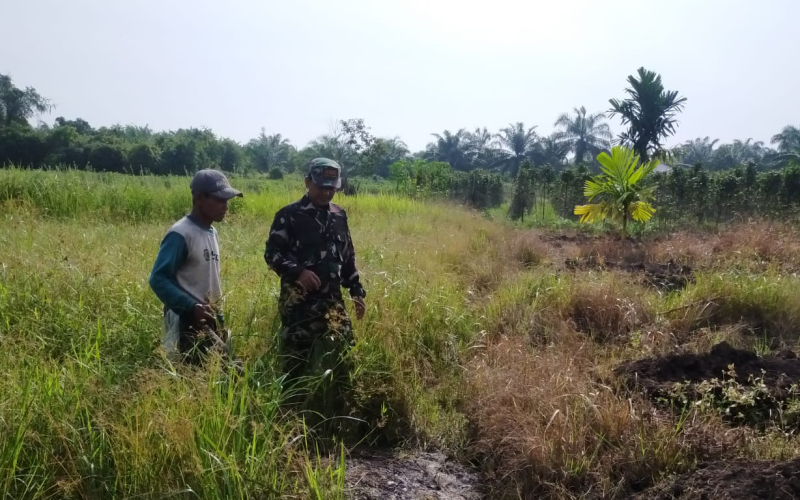 Patroli Karhutla, Kegiatan Rutin Babinsa Bangsal Aceh