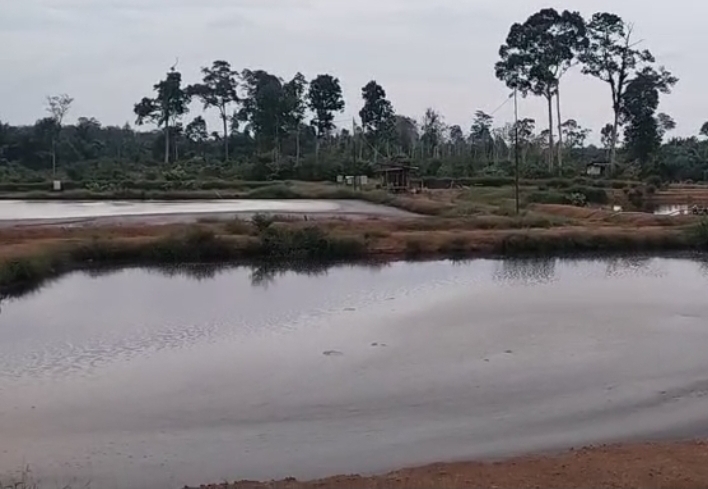 Hak Jawab PT Multiguna Agro Sejahtera Terkait Pemberitaan Soal Keluhan Warga