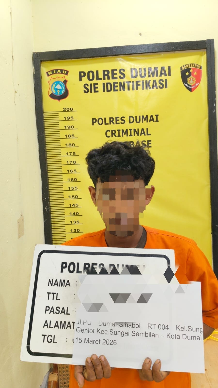 Curi 400 Kg Sawit, Pria di Sungai Geniot Diciduk Polisi, Satu Pelaku Lain Diburu