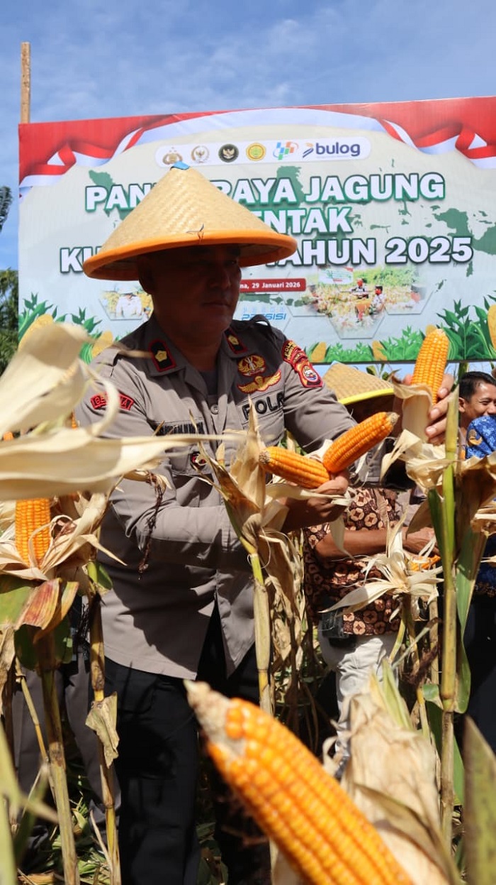Polres Bengkulu Selatan Sukses Gelar Panen Raya Jagung Serentak di Lahan 2 Hektar