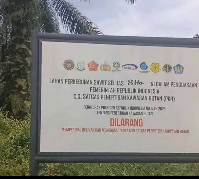 Pengusaha Ardin Sitompul, Samuel Soengdjadi Dkk Dituding Kuasai Ratusan Hektar Jantung TNTN, ini Penjelasan Ketua KNPI Riau Larshen Yunus