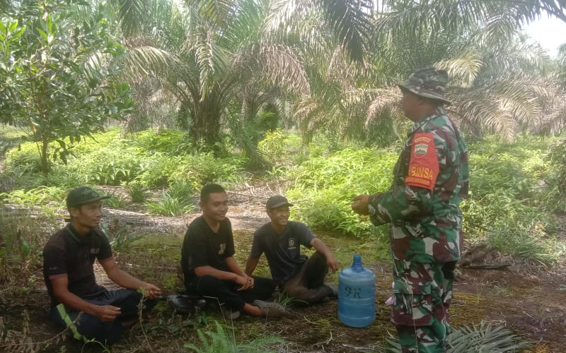 Babinsa Koramil 02 Patroli dan Sosialisasi Karhutla di Teluk Makmur