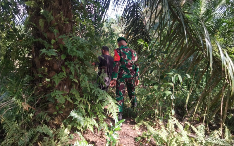 Upaya Pencegahan Terjadinya Kebakaran Lahan, Babinsa Sertu Sugianto Patroli