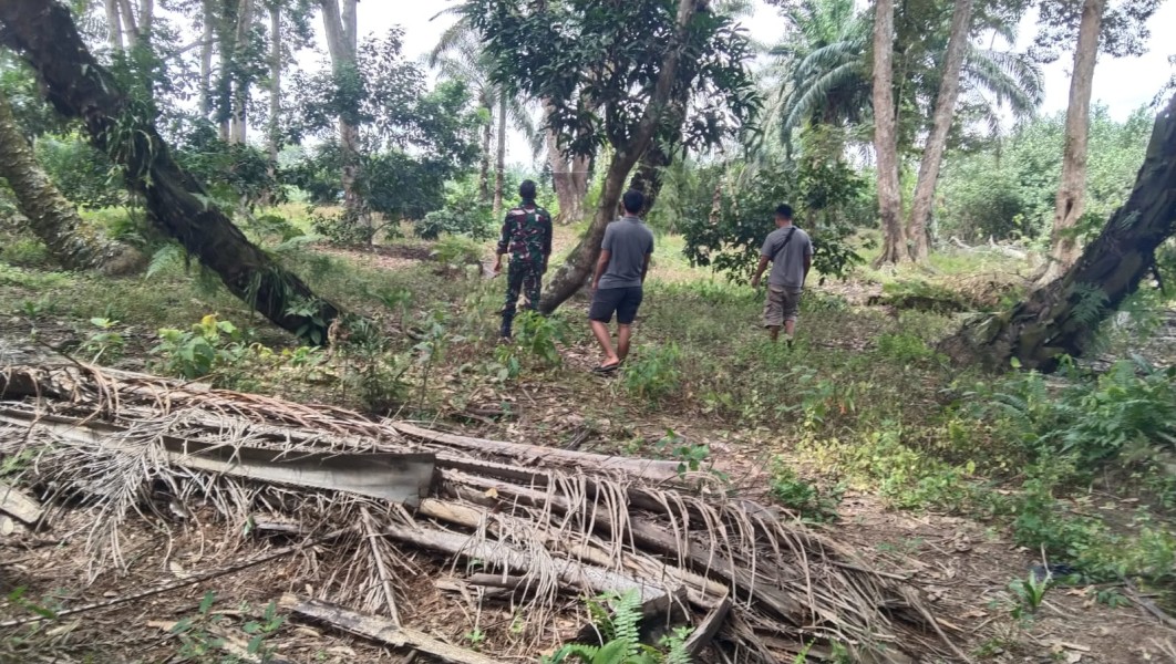 Babinsa Koptu Togi Sitorus Laksanakan Patroli Karhutla di Perawang Barat -