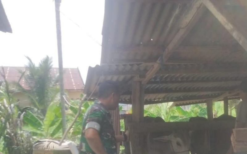 Babinsa Koramil 03 Pantau Kesehatan Ternak Sapi Milik Warga