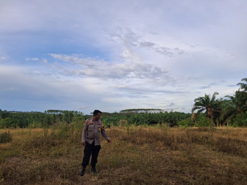 Dukung Ketahanan Pangan Nasional, Bhabinkamtibmas Polsek Minas Cek Lahan Penanaman Jagung Kuartal II di Rantau Bertuah