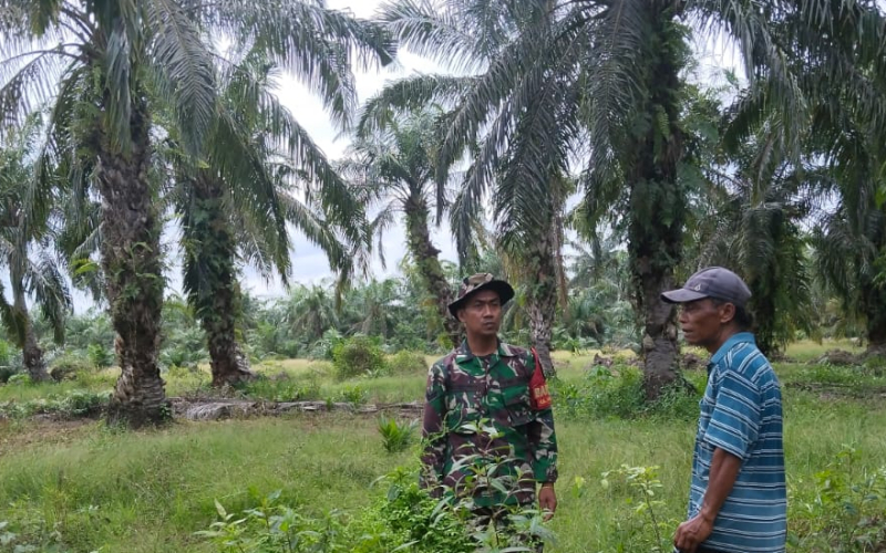 TNI Perkuat Pencegahan Karhutla Melalui Patroli Rutin di Wilayah Sungai Sembilan