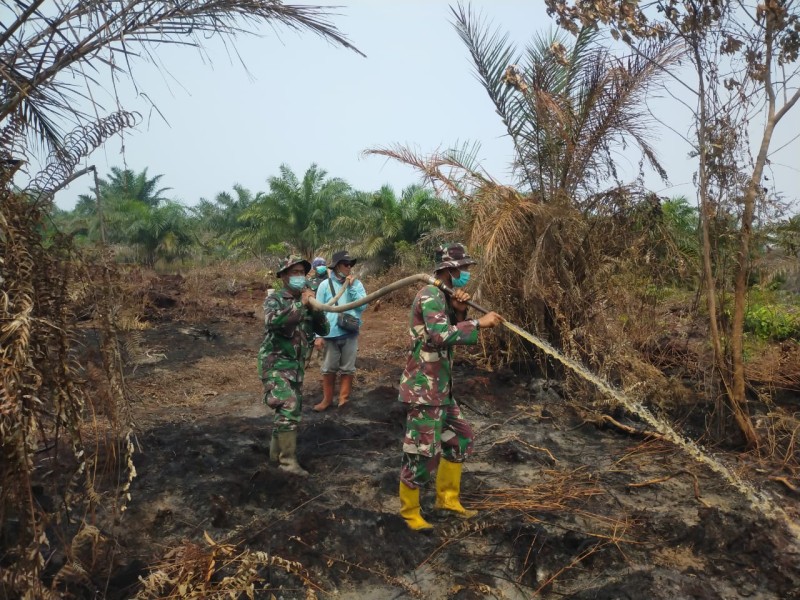 Karhutla Bangsal Aceh Capai 5 Hektare, Tim Gabungan Terus Lakukan Pendinginan