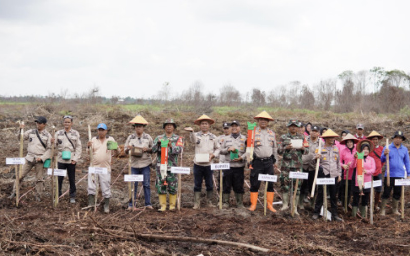 Kabupaten Inhil Dapat Alokasi 53.000 Hektar, Penanaman Perdana Jagung Dimulai di Kuala Sebatu