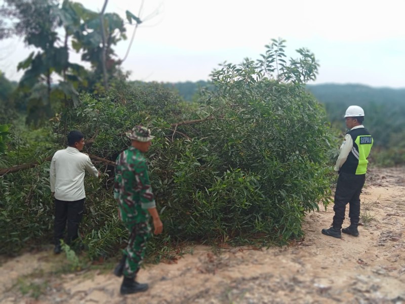 Babinsa Koramil 03/Minas Laksanakan Patroli Karhutla, Pastikan Wilayah Dusun Lukut Aman dari Api