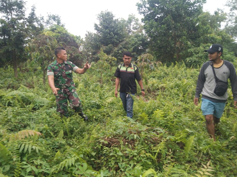 Koptu Togi Sitorus Gelar Patroli Karhutla di Perawang Barat, Tak Ditemukan Titik Api