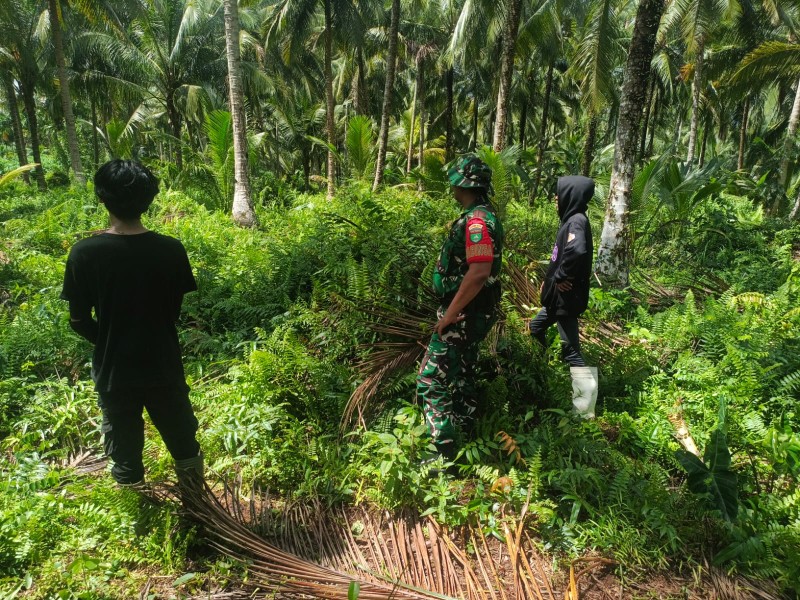 Antisipasi Gangguan Keamanan dan Karhutla, Babinsa Koramil 06/Kateman Laksanakan Patroli Tapal Batas