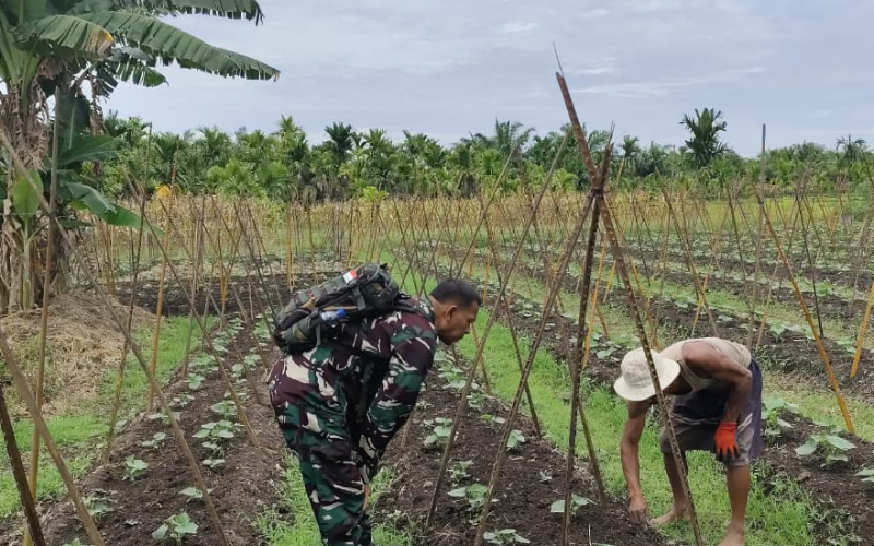 Dukung Pertanian Ramah Lingkungan, Babinsa Batu Teritip Tekankan Pencegahan Karhutla