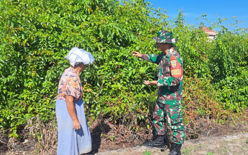 Babinsa Bukit Datuk Patroli Karhutla dan Ajak Warga Manfaatkan Lahan