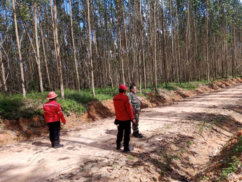 Babinsa Koramil 03/Minas Laksanakan Patroli Karhutla di Kampung Muara Bungkal