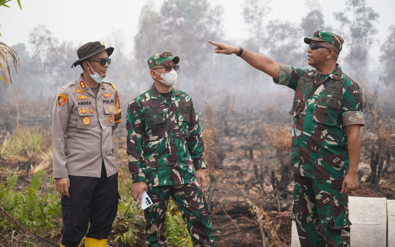 Turun ke Lapangan, Danrem 031/WB Pastikan Penanganan Karhutla Dumai Berjalan Optimal