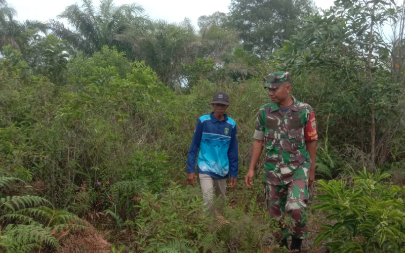 Patroli Karhutla oleh Babinsa di Kelurahan Mundam Dumai