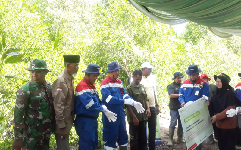 Sinergi Pertagas dan Mastali Madu, Ribuan Mangrove Ditanam di Pesisir Dumai