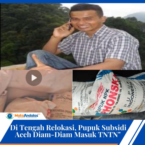Di Tengah Relokasi, Pupuk Subsidi Aceh Diam-Diam Masuk TNTN
