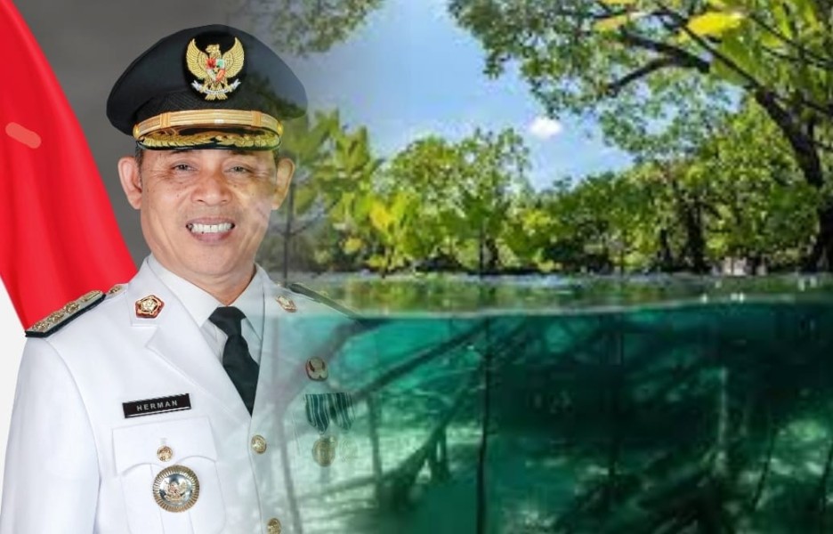 Bupati Inhil Sikapi Maraknya Izin Karbon Mangrove, Daerah Harus Dilibatkan