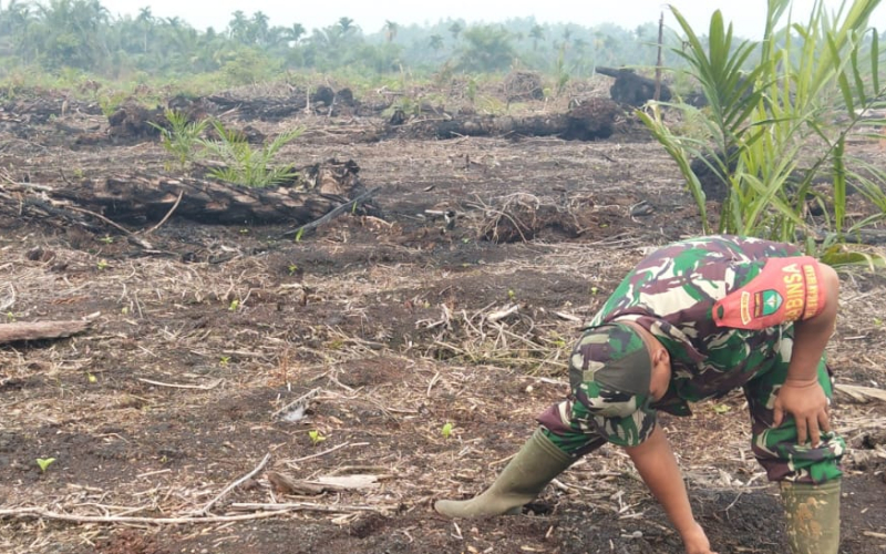 Babinsa Kodim 0320/Dumai Dampingi Warga Tanam Terong Pondo di Bagan Besar