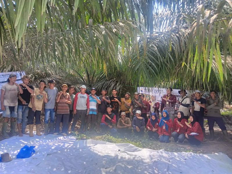 ITP2I Perkuat Produktivitas Sawit Rakyat, Inovasi Teknologi Polen Dorong Peningkatan Fruit Set dan Hasil TBS