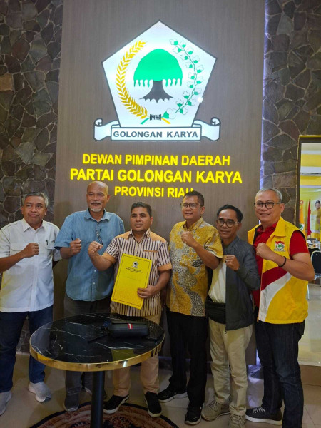 Pantyhosedagi semiz ayollarning fotosuratlari