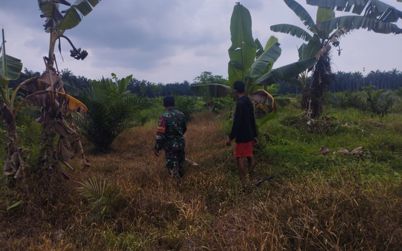 Cegah Karhutla, Babinsa Koramil 03/Sungai Sembilan Patroli Wilayah Rawan Kebakaran