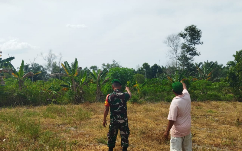 Babinsa Patroli Karhutla Rutin di Bukit Datuk