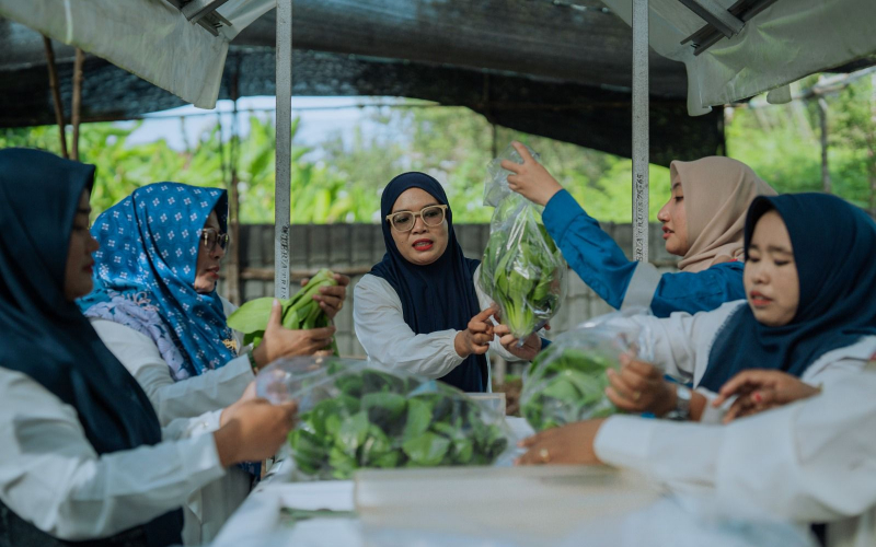 Kilang Dumai Pasang PLTS untuk Kebun Hidroponik, Gizi Ibu Anak Kian Terjaga