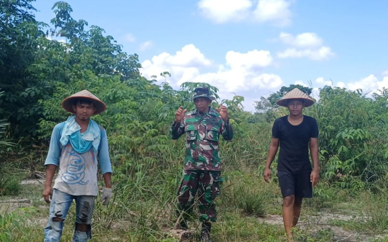 Babinsa Gurun Panjang Sisir Lahan Rawan Kebakaran di Simpang Sakai