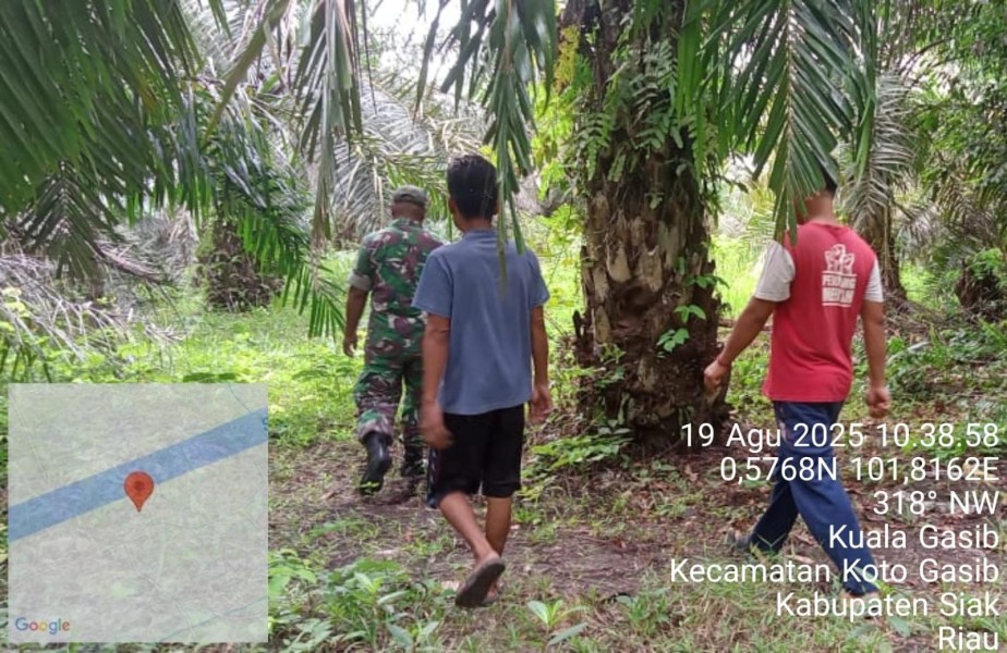 Sertu Sahidin Babinsa Koramil 04/Perawang Laksanakan Patroli Karhutla di Kuala Gasib