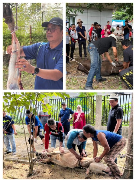 Semangat Berbagi di Hari Raya Iduladha, PWI Riau Sembelih 6 Sapi dan 1 Kambing