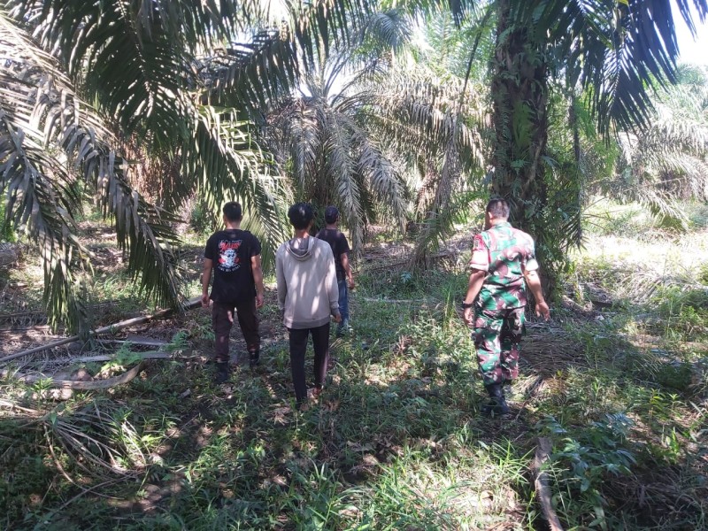 Babinsa Koramil 04/Perawang Laksanakan Patroli Karhutla, Tak Ditemukan Titik Api