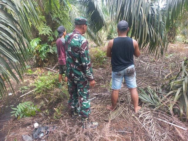 Sertu Sarju Laksanakan Patroli Karhutla di Kampung Tualang, Wilayah Koramil 04/Perawang